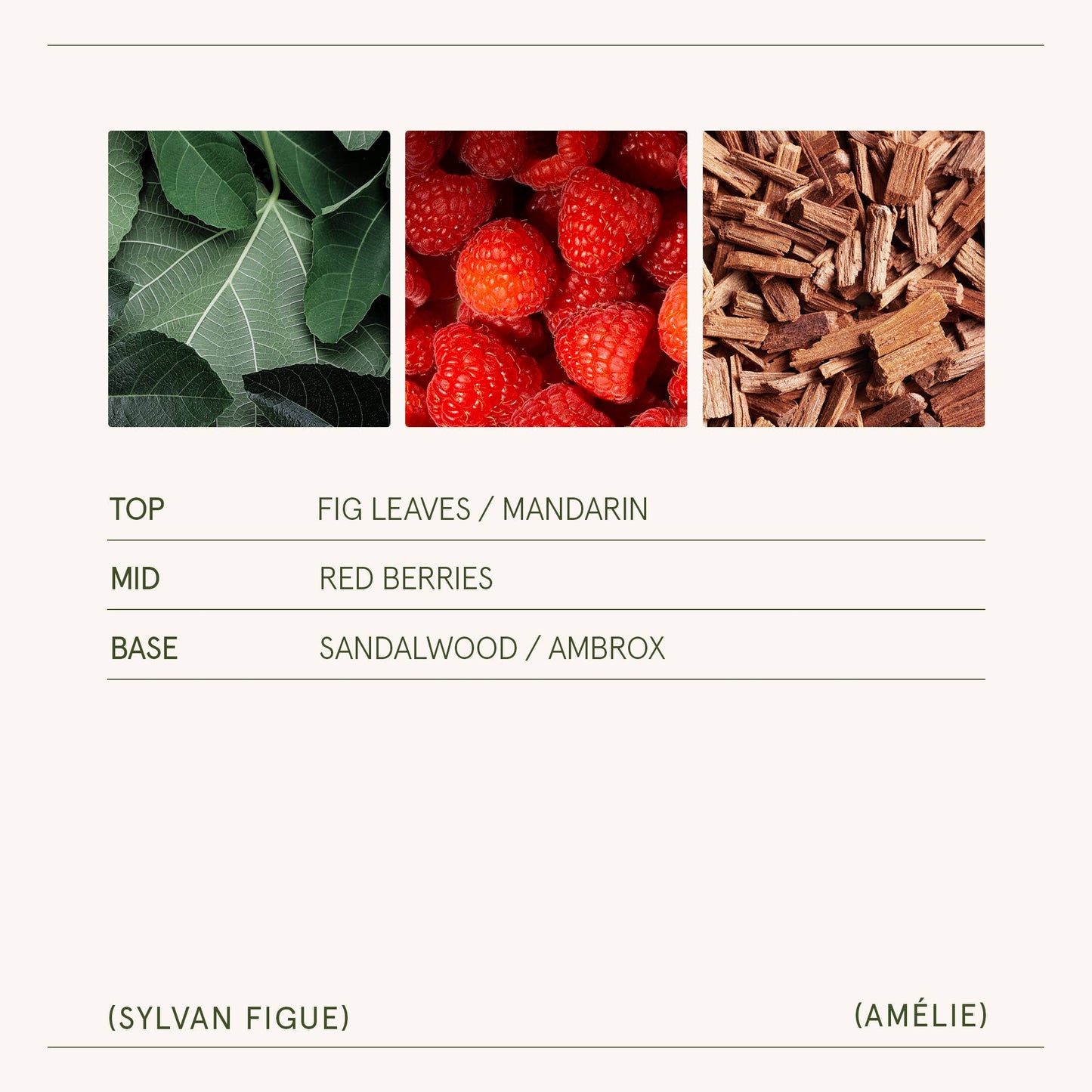 Amélie - Sylvan Figue 11oz Candle