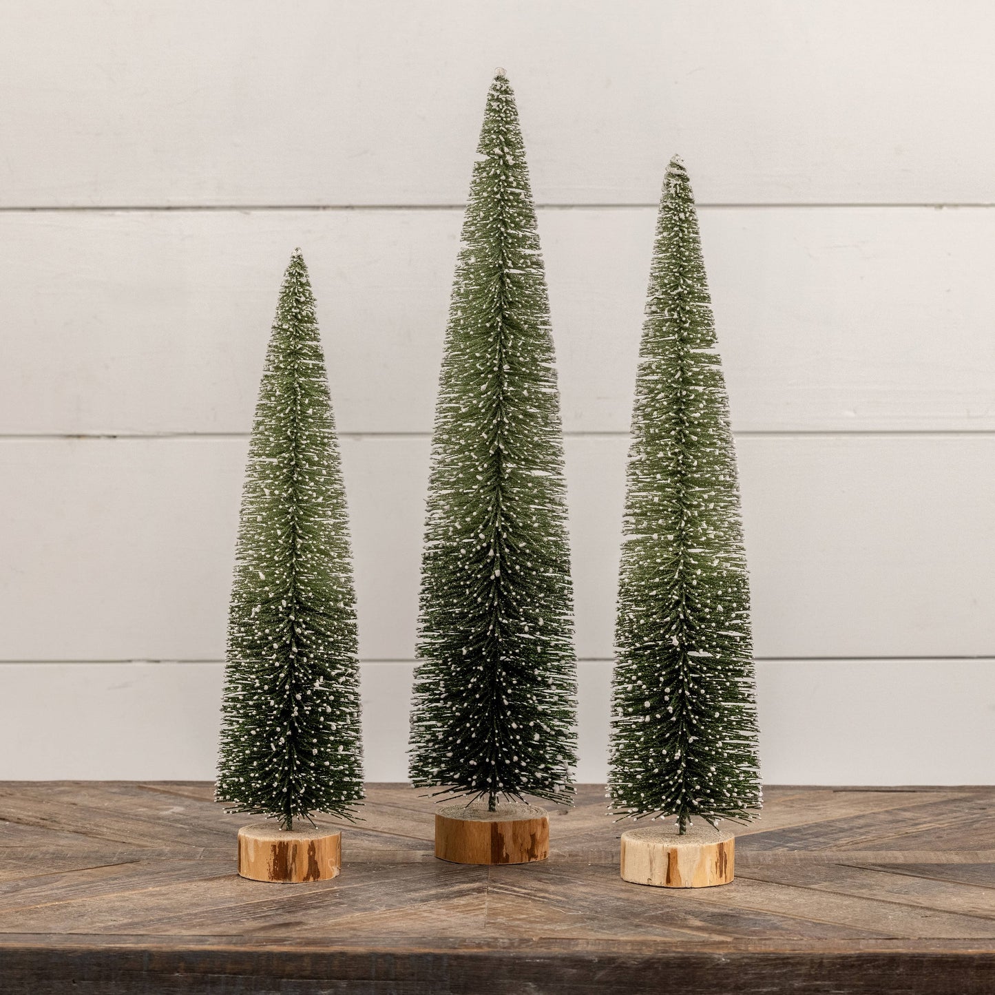 15" GREEN OMBRE BOTTLEBRUSH TREES