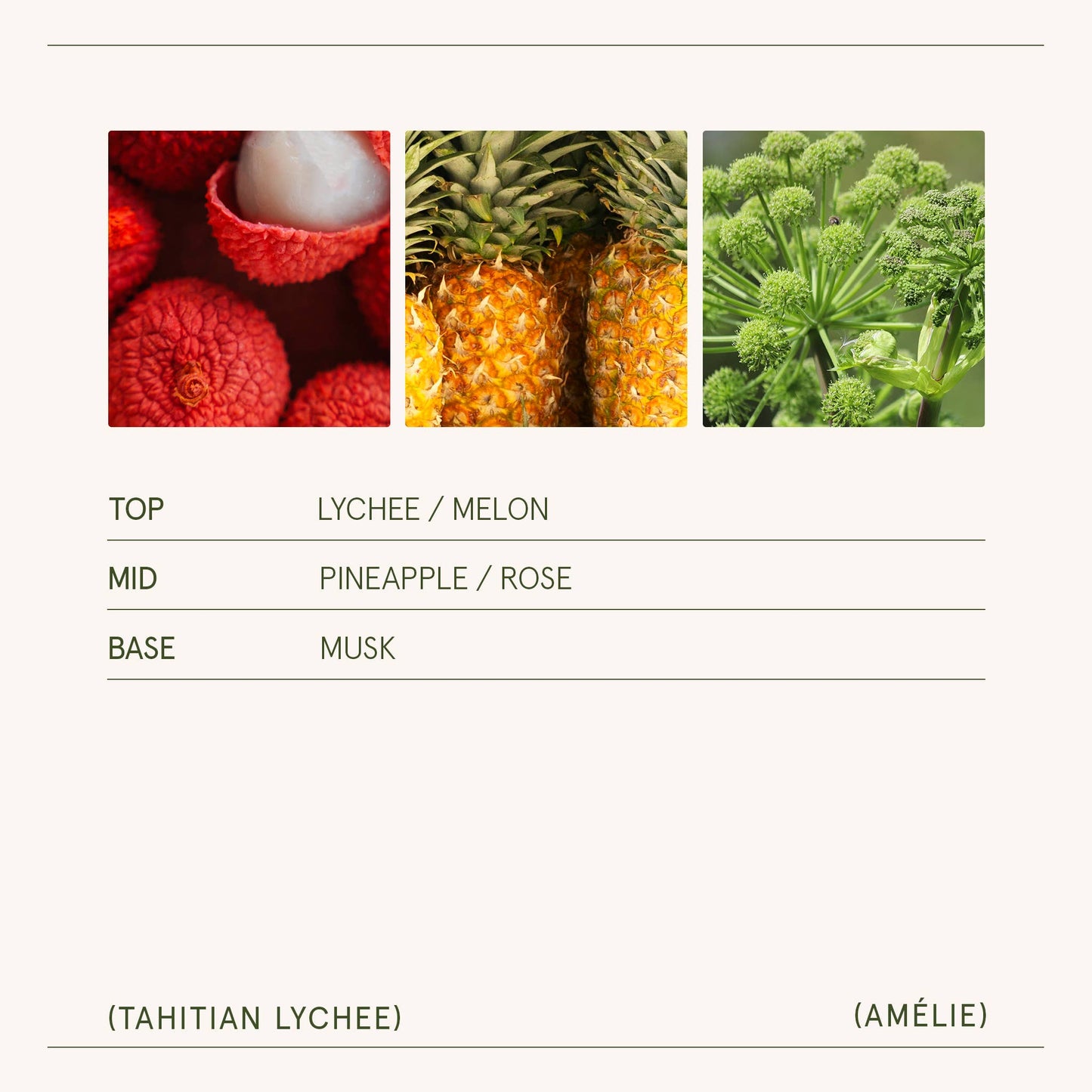 Amélie - Tahitian Lychee 11oz Candle
