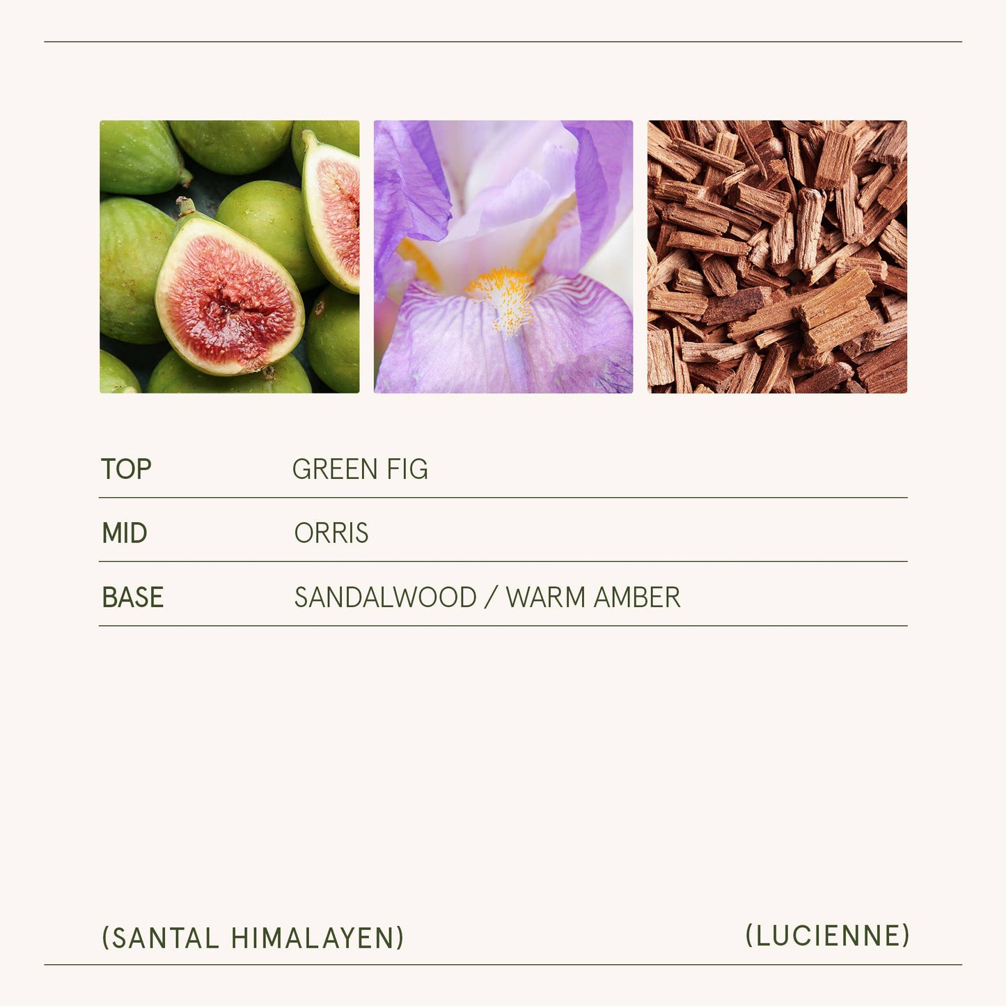 Lucienne - Santal Himalayen 8oz Candle