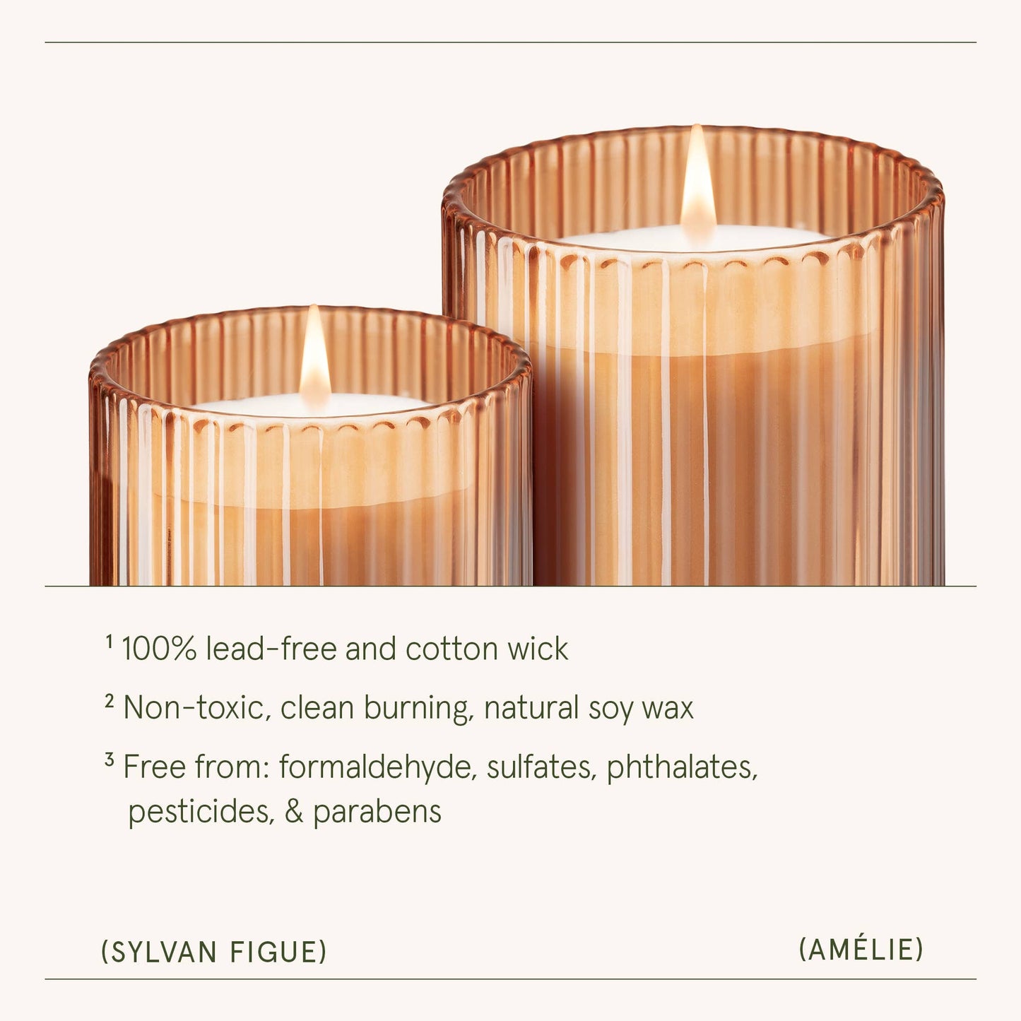 Amélie - Sylvan Figue 11oz Candle