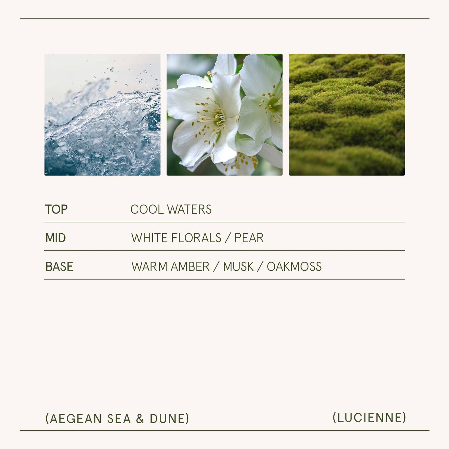 Lucienne - Aegean Sea & Dune 8oz Candle