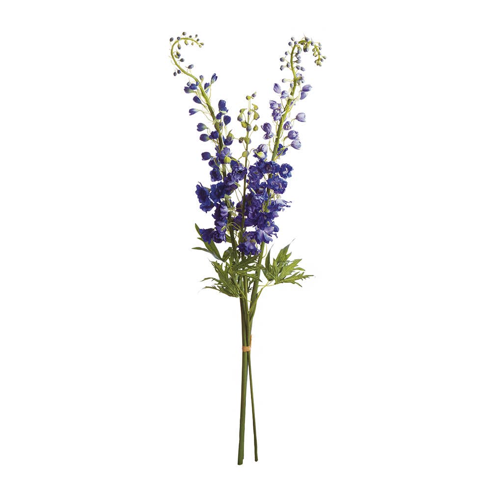 Delphinium 49" Stems, Bundle Of 3