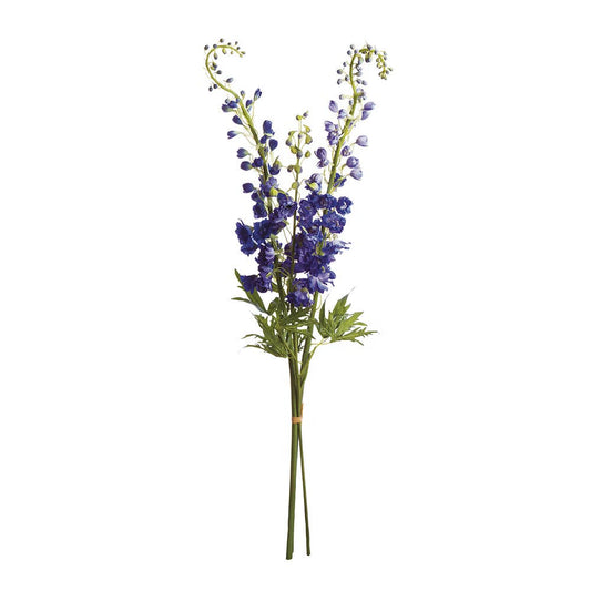 Delphinium 49" Stems, Bundle Of 3