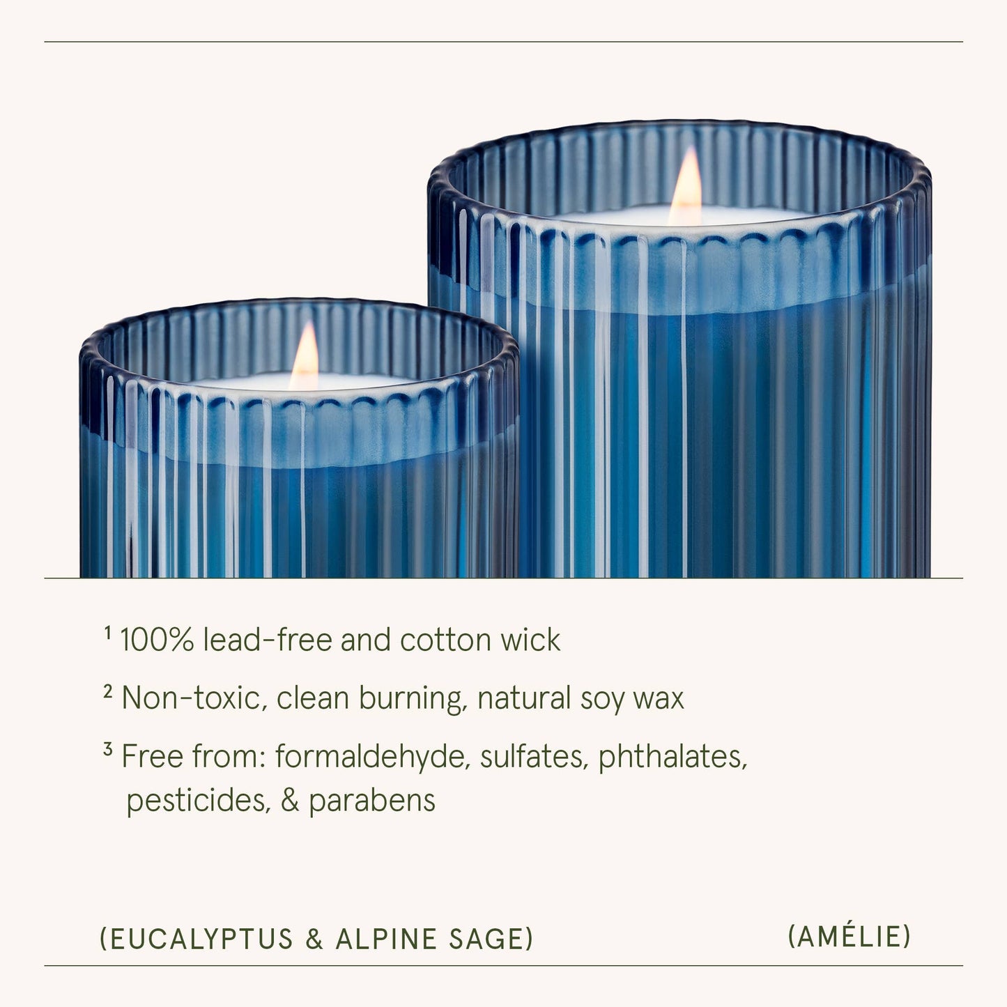 Amélie - Eucalyptus & Alpine Sage 11oz Candle