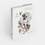 STILL: The Art of Noticing