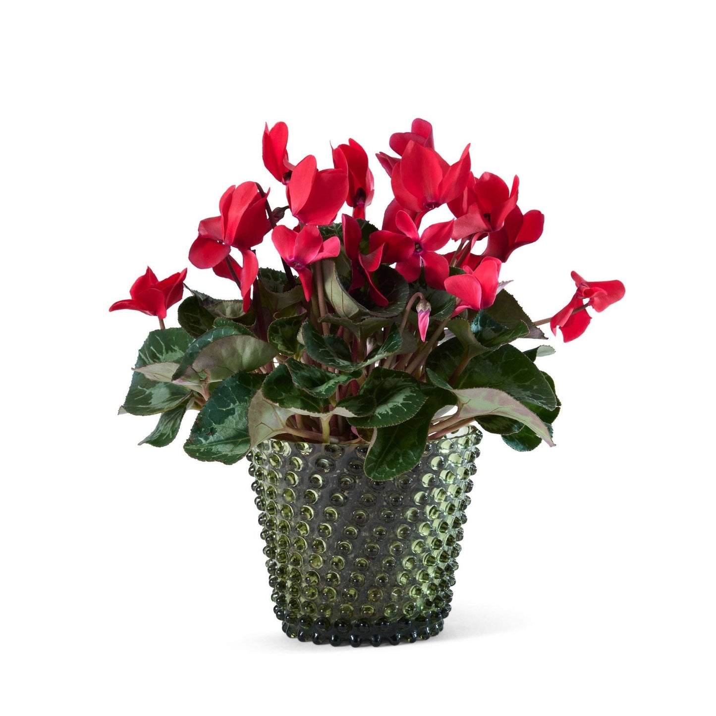 Hobnail Planter | Moss Green