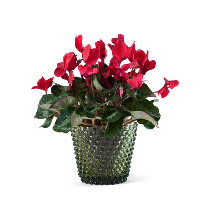 Hobnail Planter | Moss Green