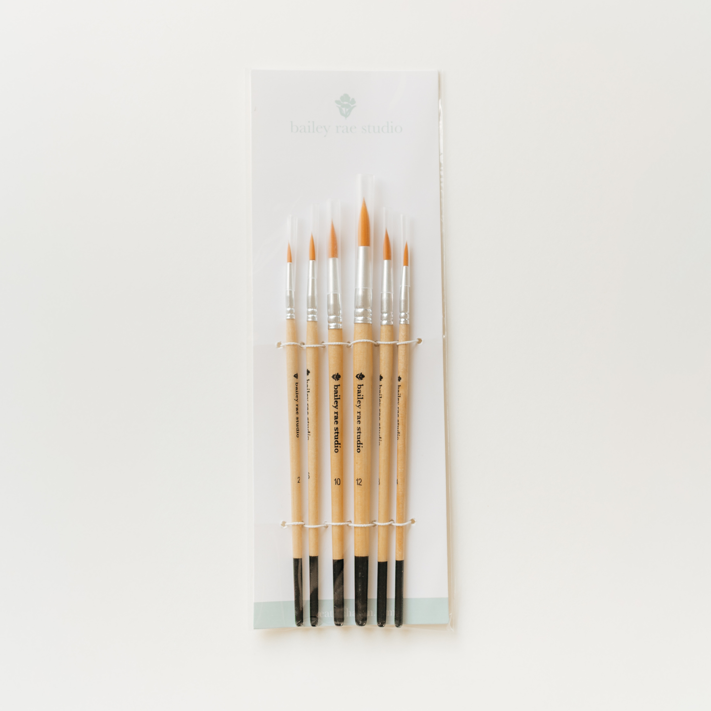 Round Tip Watercolor Brush Set -- 6 piece