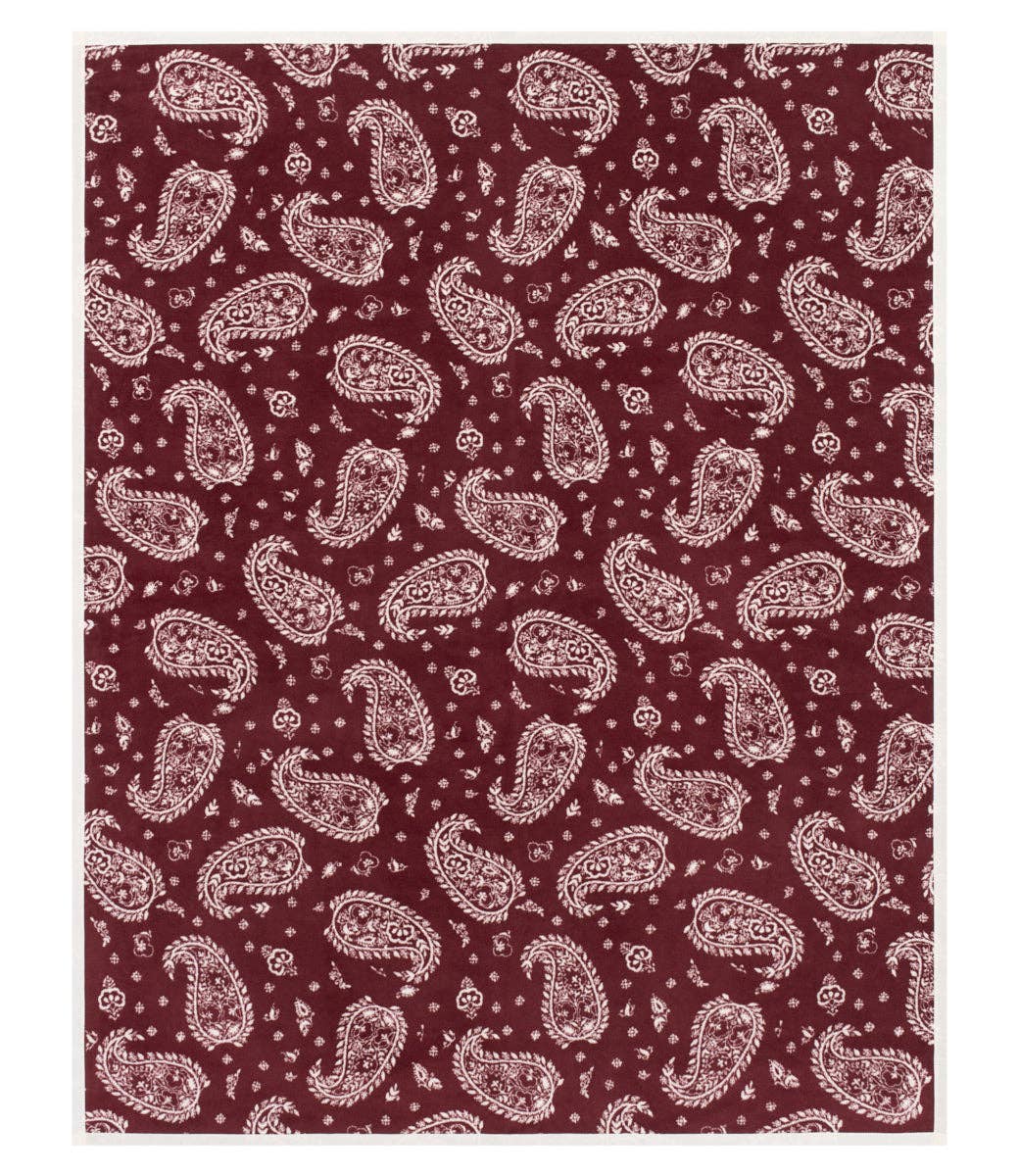 Palmer Paisley Blanket