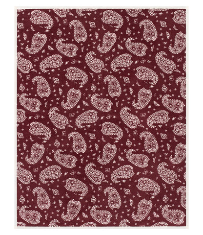 Palmer Paisley Blanket
