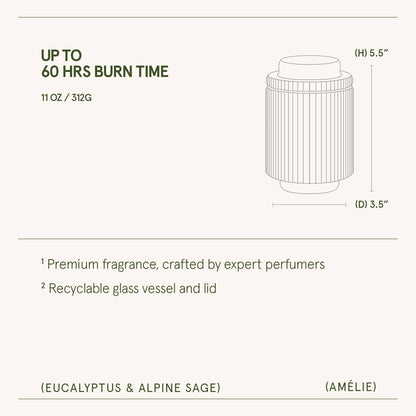 Amélie - Eucalyptus & Alpine Sage 11oz Candle