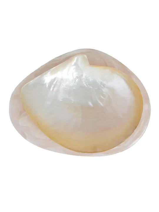 Lily Juliet - Round Shell Caviar Dish