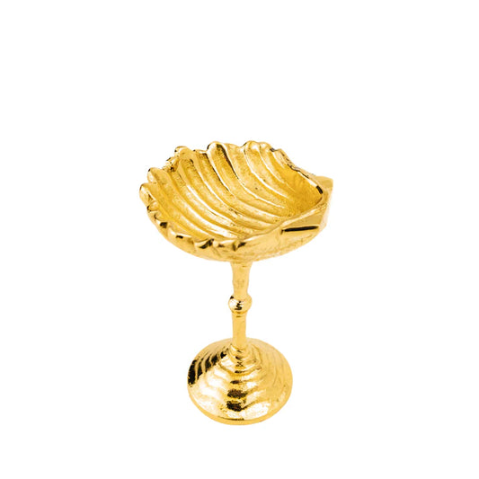Shell Cordial- Brass